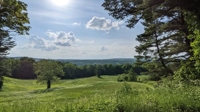 Lush green rolling hills with scattered trees under a partly cloudy summer sky.