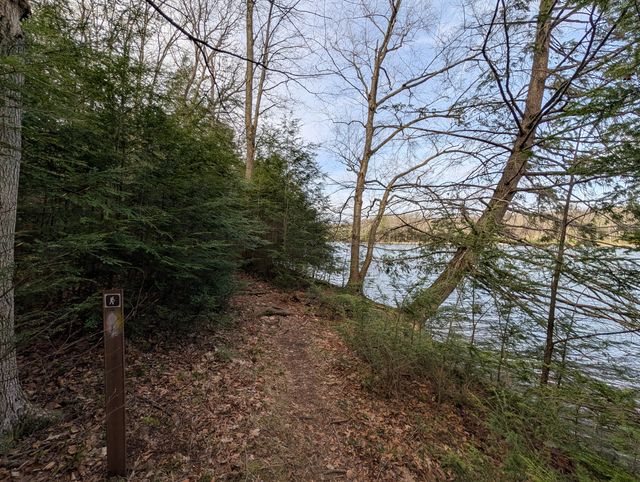 Forest trail descending toward a body of water visible through bare and green trees.