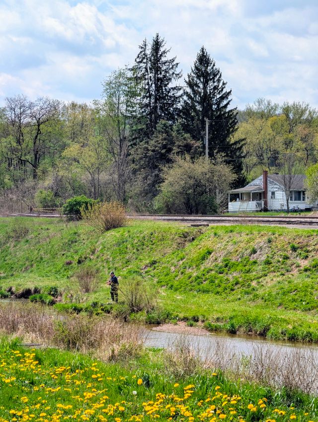 Angler in dark shirt and camouflage pants casting a fishing line in a dandelion-filled meadow beside a stream, railroad on the embankment, and a white house beyond.
