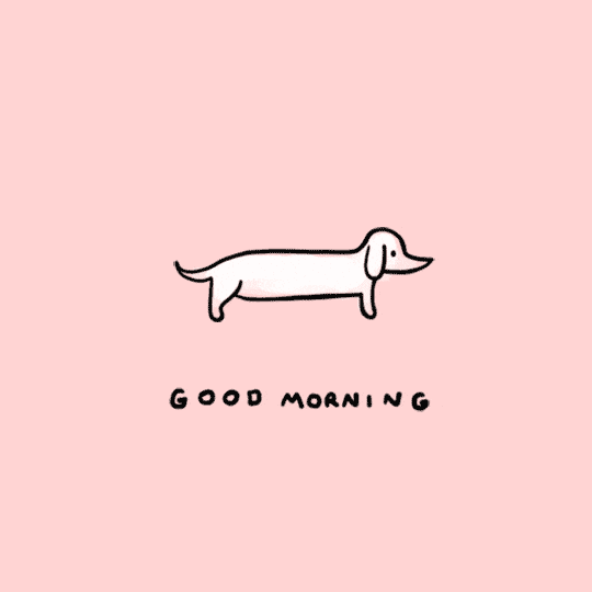 A cartoon dachshund stands above the words "GOOD MORNING" on a pink background.