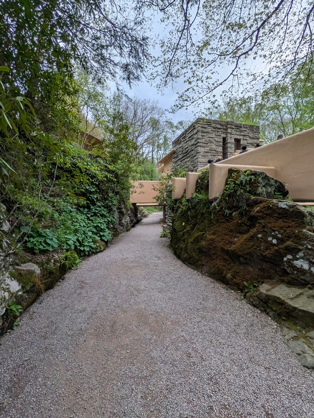 A gravel walking path leading toward Fallingwater between mossy boulders and a low concrete wall