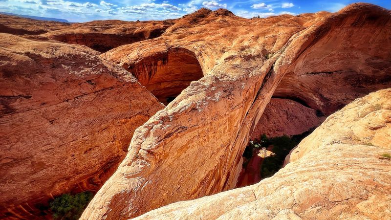 1cmktdjcoyotegulchutah3616x3024oc.jpg (4000x2250)