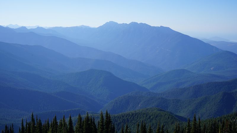 1intsckolympicnationalpark6000x4000oc.jpg (6000x3376)