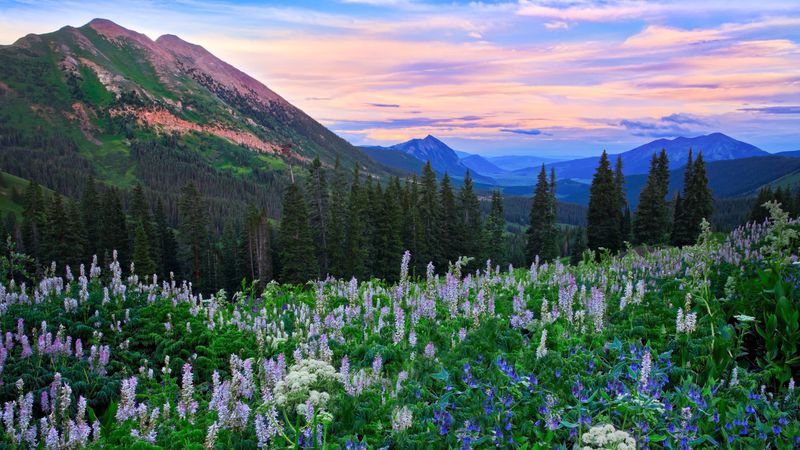 1oqv9i7gothicmountainandgothicvalleyateveningtwilightcrestedbuttecolorado7182015oc3595x2400.jpg (4000x2249)