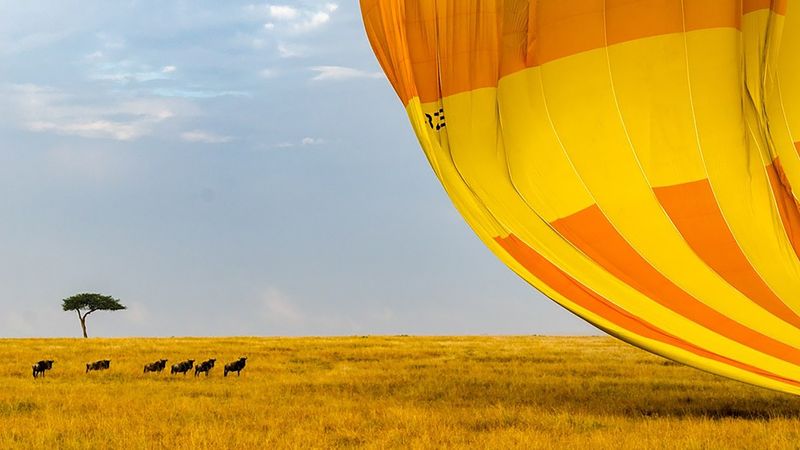 2253234012410587570.jpg (3840x2159)