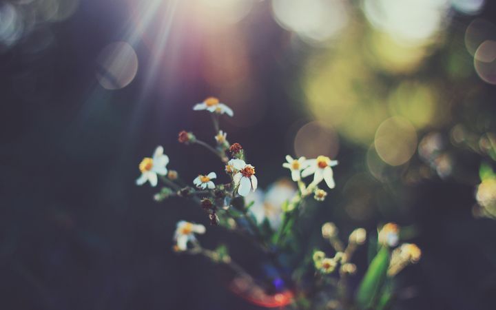 2560x1440bubbles.jpg (4000x2500)