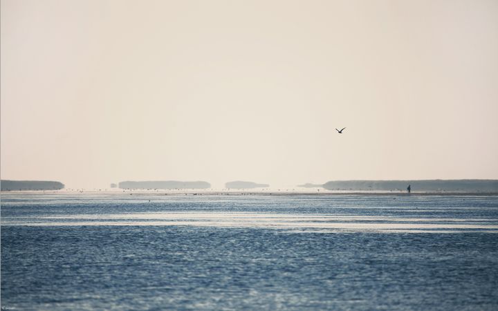2560x1600morningseabyzim2687.jpg (4000x2500)