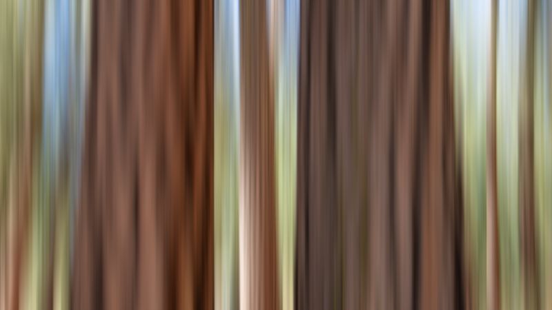 as1022018editentomologically.png (7695x4328)