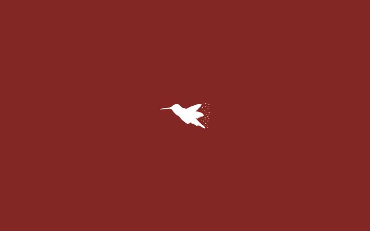 birdminimalflatwallpaperhd.jpg (4000x2502)