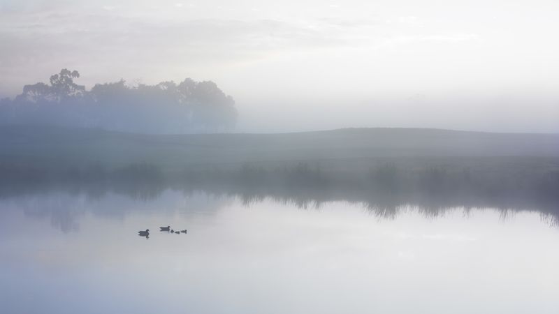 ducksonamistypond.jpg (5120x2880)