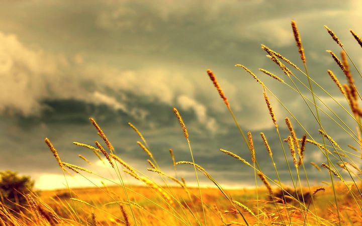 grassbyjorlinrajeev.png (1920x1200)