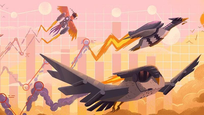 monitoringbirds.jpg (4000x2250)