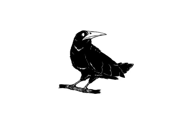 ravenworthiestagenesic.jpg (4000x2500)