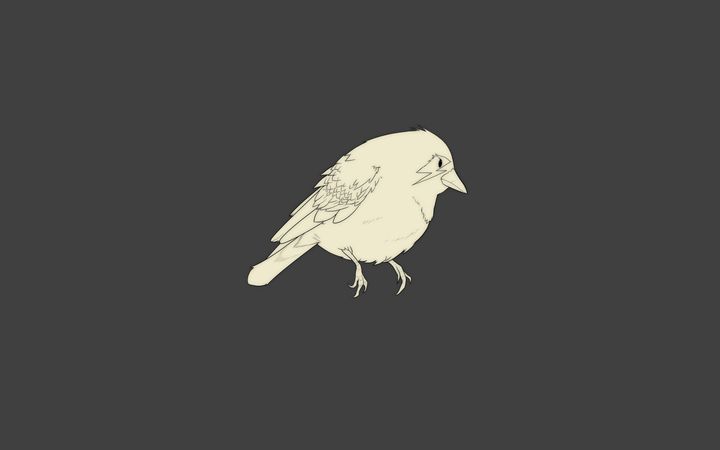 teefurybirdbypacman23.jpg (4000x2500)