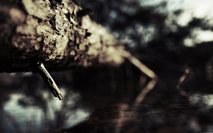 thedeepshallowdesktop2.jpg (4000x2500)
