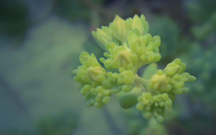 theghostsronthegreen.jpg (4000x2500)