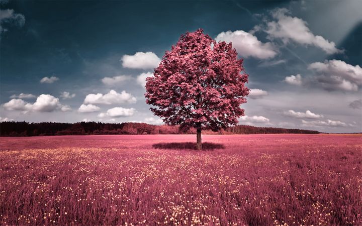 wallpaper1032394.jpg (4000x2500)